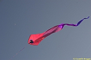 32 FESTIVAL CERVIA 2012 - 059